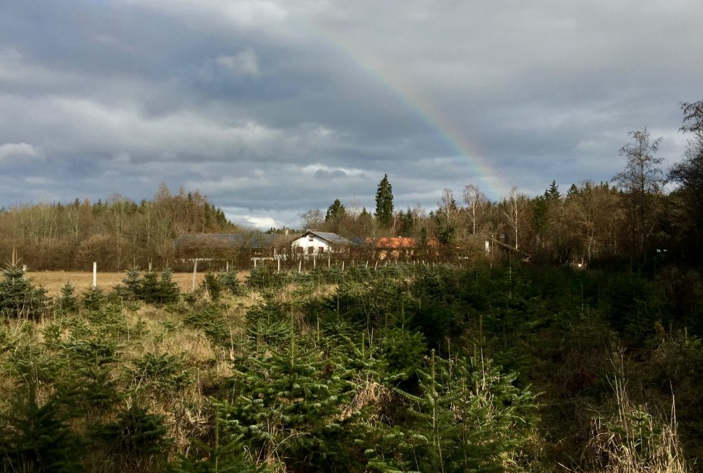 Christbaum Verkauf Schlag